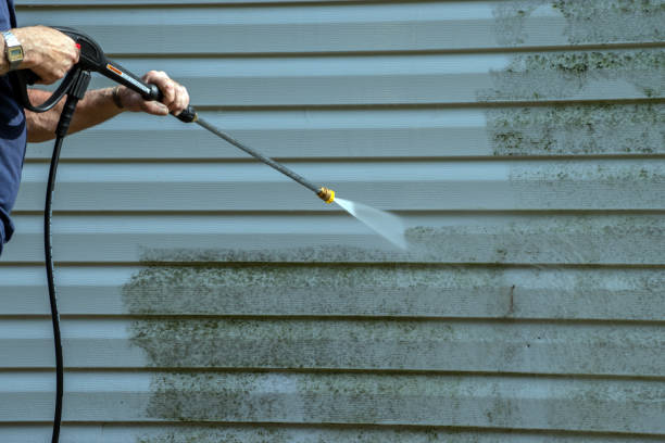 Best Roof Washing  in St John, MO